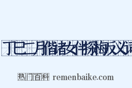 丁巳二月偕诸女伴探梅反义词是什么意思的图片